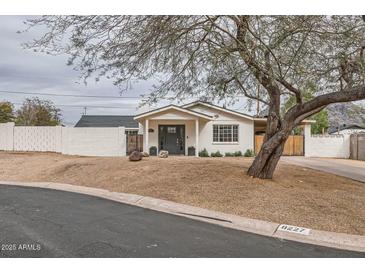 Charming home featuring a well-maintained front yard, complemented by a beautiful tree and a dark front door at 8227 N 15Th Pl, Phoenix, AZ 85020