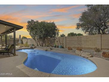 Backyard pool surrounded by lush landscaping, patio area, and privacy fencing at 3325 N Desoto St, Chandler, AZ 85224
