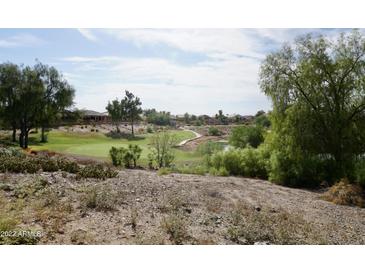 Picturesque golf course view with lush green fairways and mature trees in a serene setting at 11564 W Mule Deer Ct, Surprise, AZ 85378