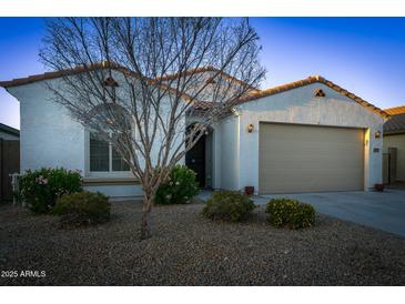 Charming single-story home featuring a well-maintained landscape and a two-car garage at 12030 W Louise Ct, Sun City, AZ 85373