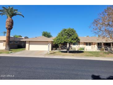 Charming single-story home featuring a well-manicured front yard, large palm tree and an attached two-car garage at 11108 W Cameo Dr, Sun City, AZ 85351