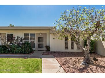 Charming single-story home featuring a well-manicured lawn, mature tree, and inviting walkway at 14212 N Newcastle Dr, Sun City, AZ 85351