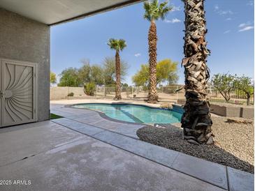 Backyard view of the in-ground pool with palm trees, gravel border and covered patio area at 42476 W Chisholm Dr, Maricopa, AZ 85138