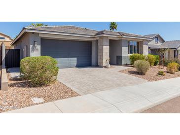 Charming single-story home with a gray exterior, well-manicured landscaping, and a paved driveway leading to the garage at 816 E Amberwood Dr, Phoenix, AZ 85048
