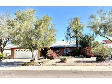 Charming single-story brick home featuring a lush front yard with mature trees and colorful flowering shrubs at 8552 E Vía Del Palacio --, Scottsdale, AZ 85258