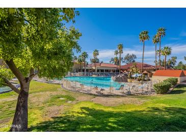 Inviting community pool area surrounded by palm trees and plenty of lounge seating at 14300 W Bell Rd # 58, Surprise, AZ 85374