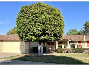 Charming single-Gathering home featuring a well-manicured lawn and a lush, mature tree in the front yard at 10425 W Desert Forest Cir, Sun City, AZ 85351