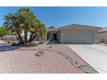 Charming single-story home with a well-maintained front yard featuring desert landscaping and mature palm trees at 19615 N Sunburst Way, Surprise, AZ 85374