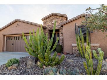 Charming home exterior with desert landscaping, showcasing native cacti and a stone facade entry at 27654 N 125Th Dr, Peoria, AZ 85383