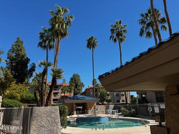 Resort style community pool surrounded by lush landscaping and tall palm trees for a relaxing atmosphere at 5132 N 31St Way # 123, Phoenix, AZ 85016