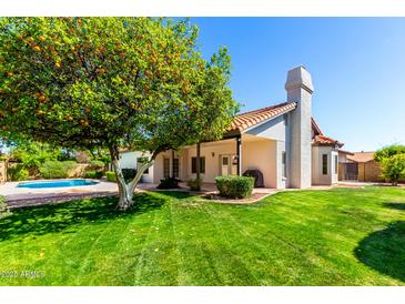 Spacious backyard featuring a healthy lawn, an orange tree, covered patio, and a sparkling blue pool at 930 E Citation Ln, Tempe, AZ 85284
