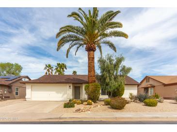 Charming home with a well-manicured desert landscape and a tall palm tree in the front yard at 4038 E Wescott Dr, Phoenix, AZ 85050