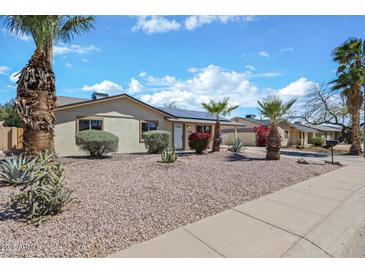 Single story home featuring gravel landscaping, beautiful mature palm trees and well maintained shrubs at 13237 N 38Th Pl, Phoenix, AZ 85032