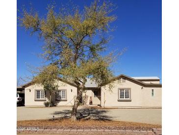 Charming single-story home with a front yard tree in front at 22744 E Carla Vista Dr, Mesa, AZ 85212