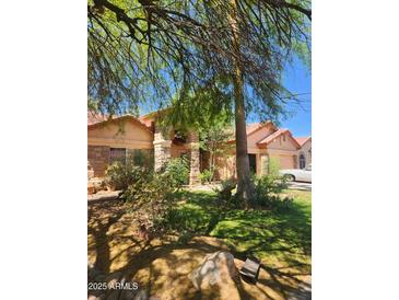 Charming single-story home featuring a stone facade and well-maintained landscaping in a lush, green front yard at 11233 W Olive Dr, Avondale, AZ 85392