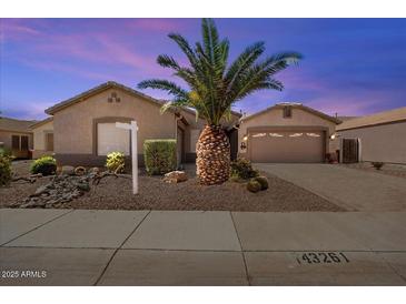 Charming single-story home featuring a well-maintained landscape with a distinctive palm tree and gravel yard at 43261 W Neely Dr, Maricopa, AZ 85138