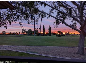 Scenic golf course view at sunset, framed by trees, offering a tranquil and picturesque setting at 18607 N 125Th Ave, Sun City West, AZ 85375