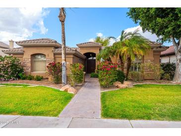 Charming single-story home with desert landscaping, manicured lawn, and a tiled roof in a sunny setting at 2452 W Enfield Way, Chandler, AZ 85286
