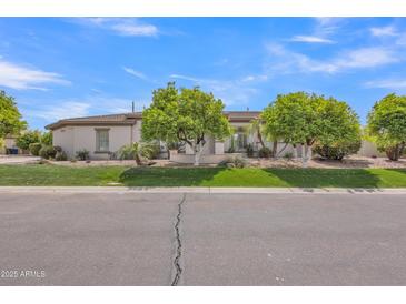 Charming single-story home with a well-manicured lawn and mature trees providing shade and curb appeal at 3461 E Indigo Cir, Mesa, AZ 85213