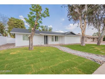 Charming single-story home with a well-manicured lawn and stone pathway at 711 N 22Nd St, Mesa, AZ 85213