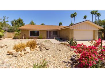 Charming single-story home featuring desert landscaping, including rocks, cacti, and vibrant bougainvillea at 7811 N 46Th Ave, Glendale, AZ 85301