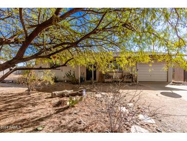 Charming home featuring mature tree, desert landscaping, and covered front porch with chairs at 411 N 111Th Pl, Mesa, AZ 85207