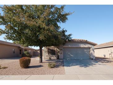 Charming single-story home with desert landscaping and a mature shade tree in the front yard at 42430 W Oakland Dr, Maricopa, AZ 85138
