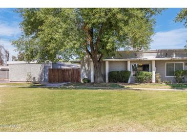 Charming single-story home with a well-manicured lawn and mature shade tree at 8827 N New World Dr, Glendale, AZ 85302