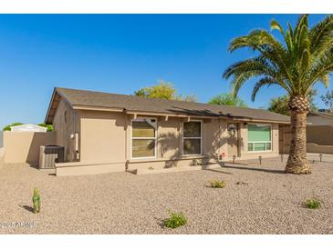 Cozy single story home featuring a desert landscape and a beautiful palm tree at 3 S 130Th Pl, Chandler, AZ 85225