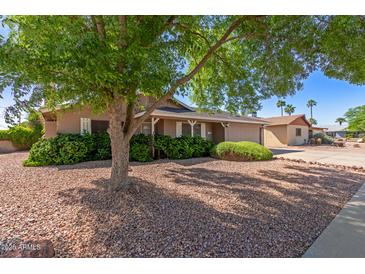 Well-maintained home featuring desert landscaping and mature shade tree in the front yard at 3526 N 85Th St, Scottsdale, AZ 85251