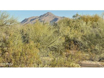 Desert landscaping offers tranquil mountain views, promoting serenity and natural beauty at 20801 N 90Th Pl # 169, Scottsdale, AZ 85255