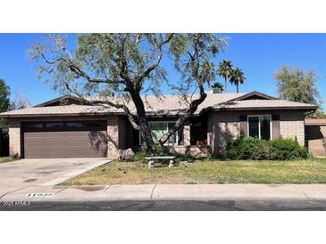 Charming single-story brick home featuring a mature tree and well-manicured front yard at 11038 N 53Rd Dr, Glendale, AZ 85304