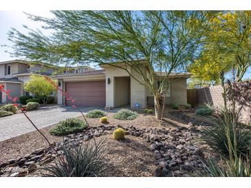 Well-maintained single-story home featuring desert landscaping, including rocks and native plants at 21930 N 29Th St, Phoenix, AZ 85050