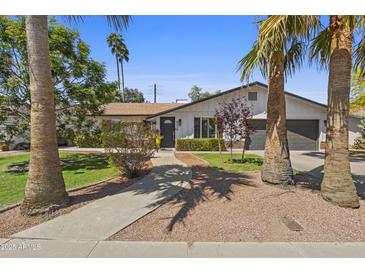Charming single-story home with a well-maintained front yard and inviting walkway framed by mature palm trees at 8036 N 17Th Dr, Phoenix, AZ 85021