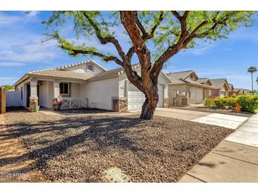 Charming single-story home with a well-maintained yard and a large, mature shade tree enhancing curb appeal at 1320 E Binner Dr, Chandler, AZ 85225