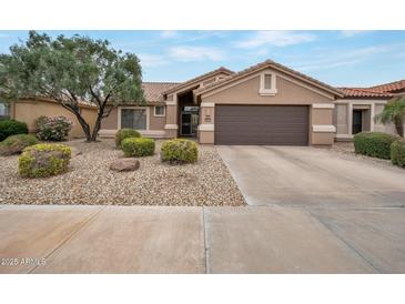 Single-story home with gravel yard, mature landscaping and a two-car garage at 3973 N 160Th Ave, Goodyear, AZ 85395