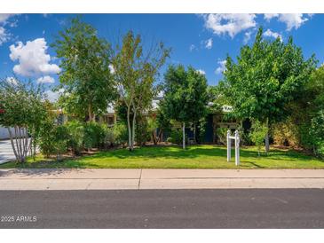 Charming single-story home with mature trees, lush landscaping, and well-maintained lawn at 2219 W Catalina Dr, Phoenix, AZ 85015