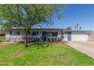Charming single-story home with a lush green lawn and mature shade tree at 3824 N 8Th Ave, Phoenix, AZ 85013