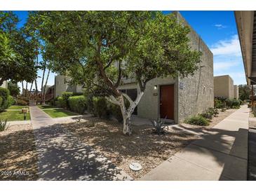 Charming condo with well-maintained landscaping, mature tree, and walkway leading to the front door at 4620 N 68Th St # 166, Scottsdale, AZ 85251