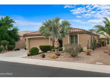 Single-story home featuring desert landscaping and a prominent palm tree in the front yard at 4200 E Narrowleaf Dr, Gilbert, AZ 85298