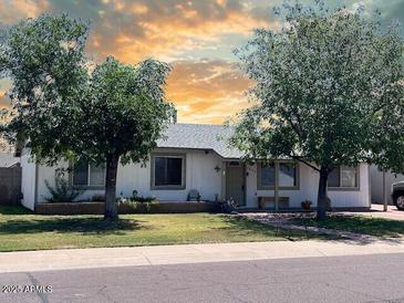 Charming single-story home featuring a well-manicured lawn and mature shade trees at 14439 N 38Th Pl, Phoenix, AZ 85032