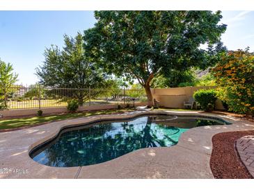 Backyard pool surrounded by mature trees and landscaping, offering a private oasis at 5423 W Range Mule Dr, Phoenix, AZ 85083