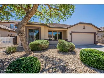 Cozy single-story home with desert landscaping, shade tree, and two-car garage at 18003 W Carmen Dr, Surprise, AZ 85388