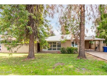 Charming single-story home with a well-maintained lawn and mature trees enhancing its curb appeal at 523 W 14Th St, Tempe, AZ 85281