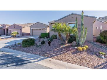 Landscaped front yard featuring drought-resistant plants, rocks, and a well-maintained lawn at 20581 N Enchantment Pass, Maricopa, AZ 85138
