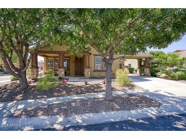 Charming single-story home with desert landscaping and a porte-cochere for covered parking at 3649 E Hutchins Ct, Gilbert, AZ 85295
