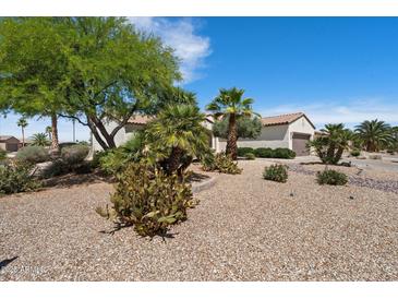 Beautiful single-story home featuring desert landscaping with mature trees and a two-car garage at 20900 N Vista Trl, Surprise, AZ 85387