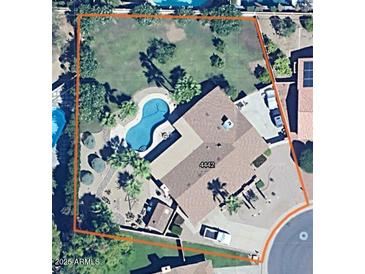 Aerial view of property featuring a pool, mature landscaping, privacy wall and a well-maintained grassy backyard at 4442 E Redfield Rd, Phoenix, AZ 85032