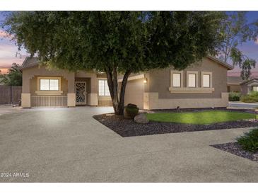Single story home with a well-manicured front yard and desert landscaping and mature shade tree at 23077 S 214Th St, Queen Creek, AZ 85142