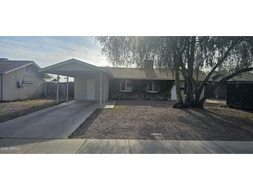 Charming single-story home with a covered front porch and mature shade tree at 14620 N 31St Ln, Phoenix, AZ 85053